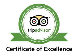 tripadvisor-rev